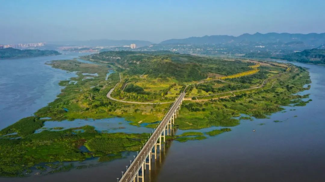 中国建筑打造重要生态修复项目重庆广阳岛7.jpg